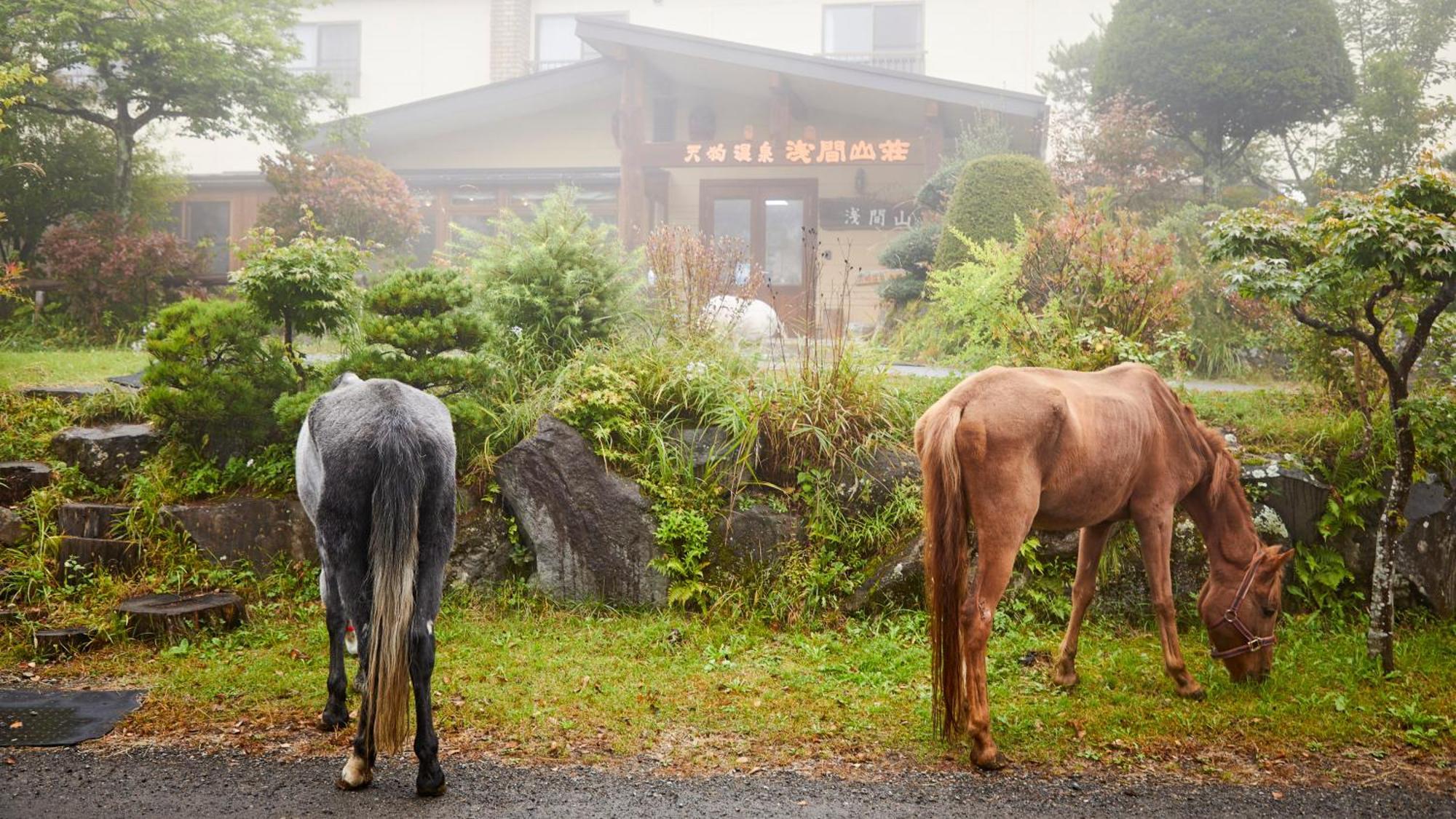 Tengu Onsen Asama Sanso Komoro Exteriör bild