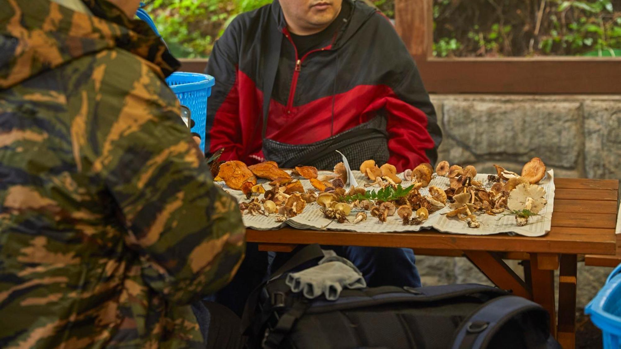 Tengu Onsen Asama Sanso Komoro Exteriör bild